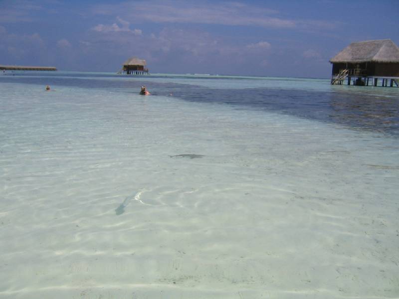 Photos Marisa Maldives Dec 2005 191 